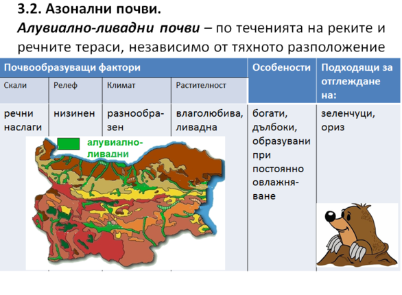 Картинка за статичен екран