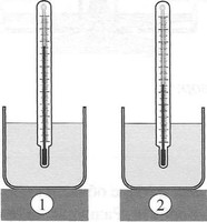 Image for quiz