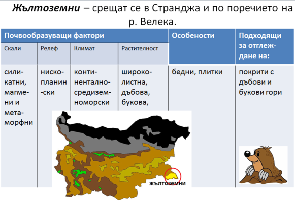 Картинка за статичен екран