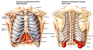 Image for quiz