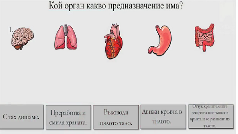 Картинка за статичен екран