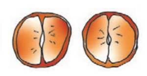 Image for the left image of the connect pair