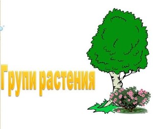 Групи растения